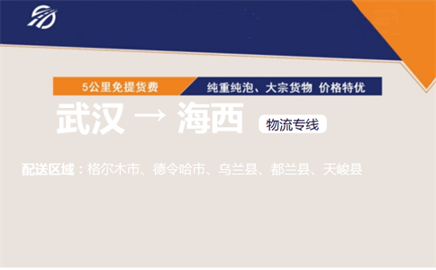 优质武汉到海西物流专线
