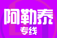 武汉到阿勒泰物流公司