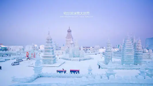 武汉到哈尔滨物流公司_武汉至哈尔滨货运专线