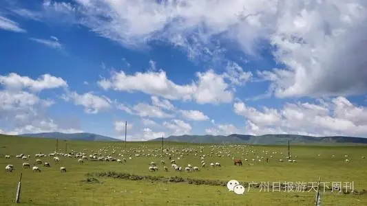 武汉到海西物流公司_武汉至海西货运专线