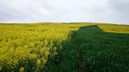 武汉到汉中物流公司_武汉至汉中货运专线